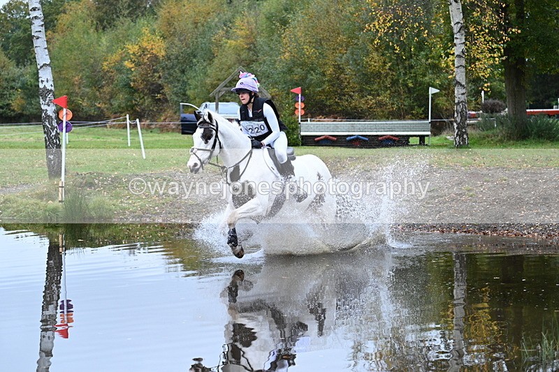 WJ7_2931 - 90cm Cam 2 Water Time 13:29 to 13:47