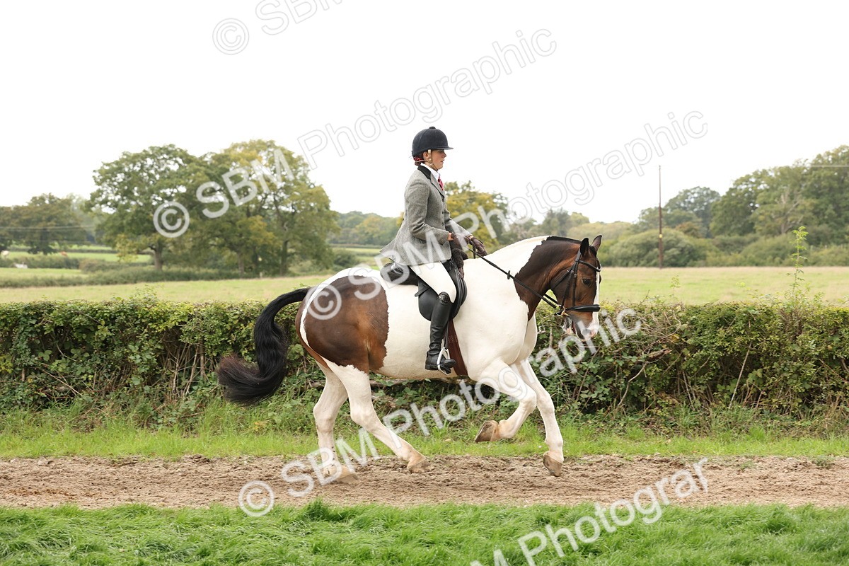 SBM_67245 - S67 - Piebald & Skewbald Horse Ridden