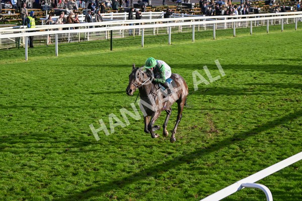 121024-Race 6-Gibside-3433 - Race 6 4.30pm Coral We're Here For It Stayers Handicap