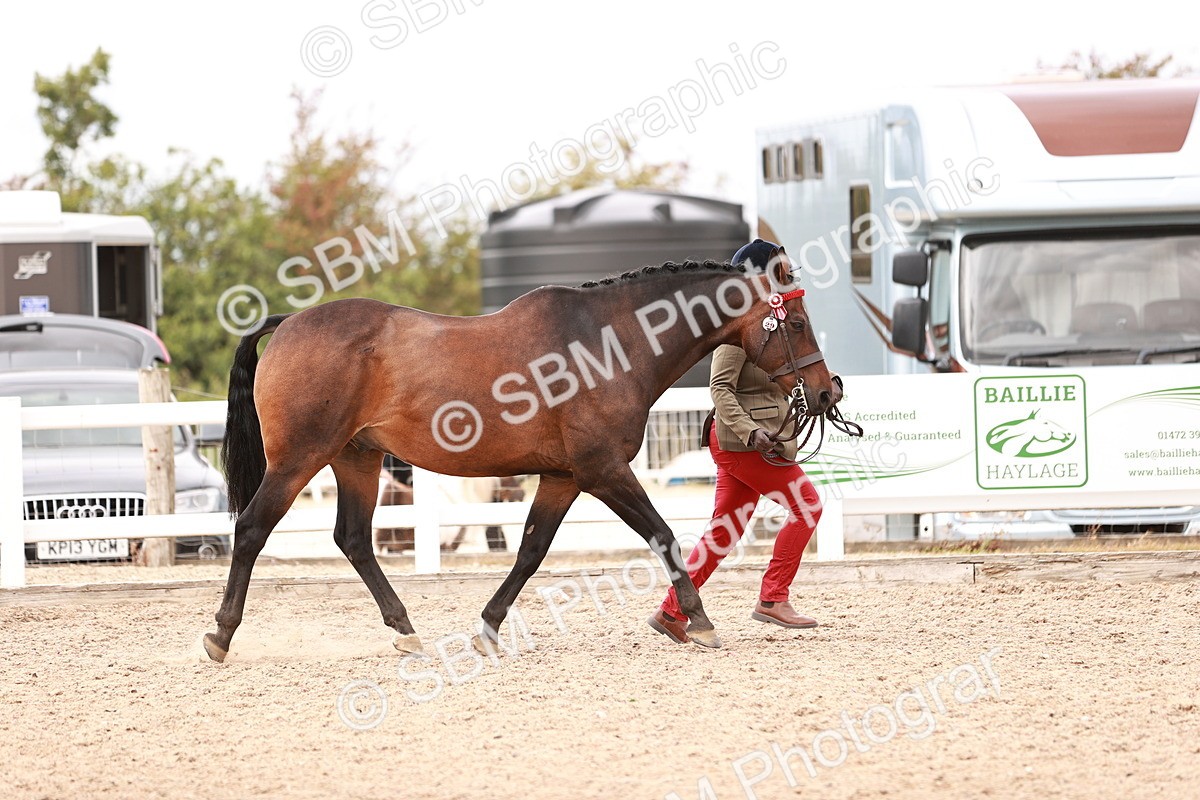 SBM_16270