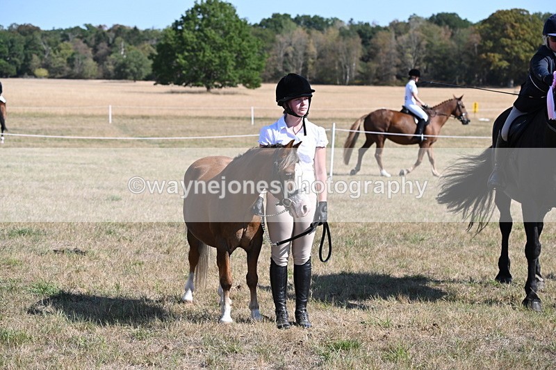 WJ6_7684 - Class 34 Judges Choice