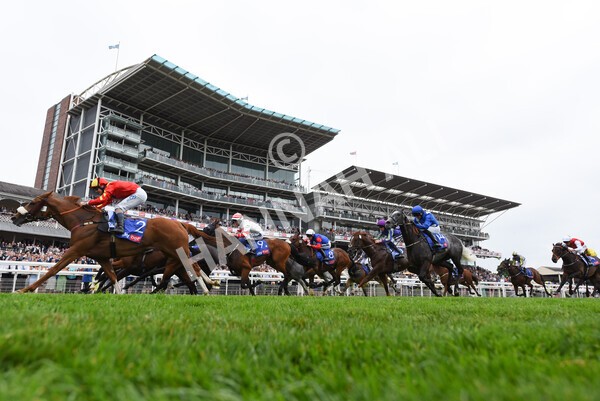 yr23072022r2-33 - Race 2 2.40pm Sky Bet Dash