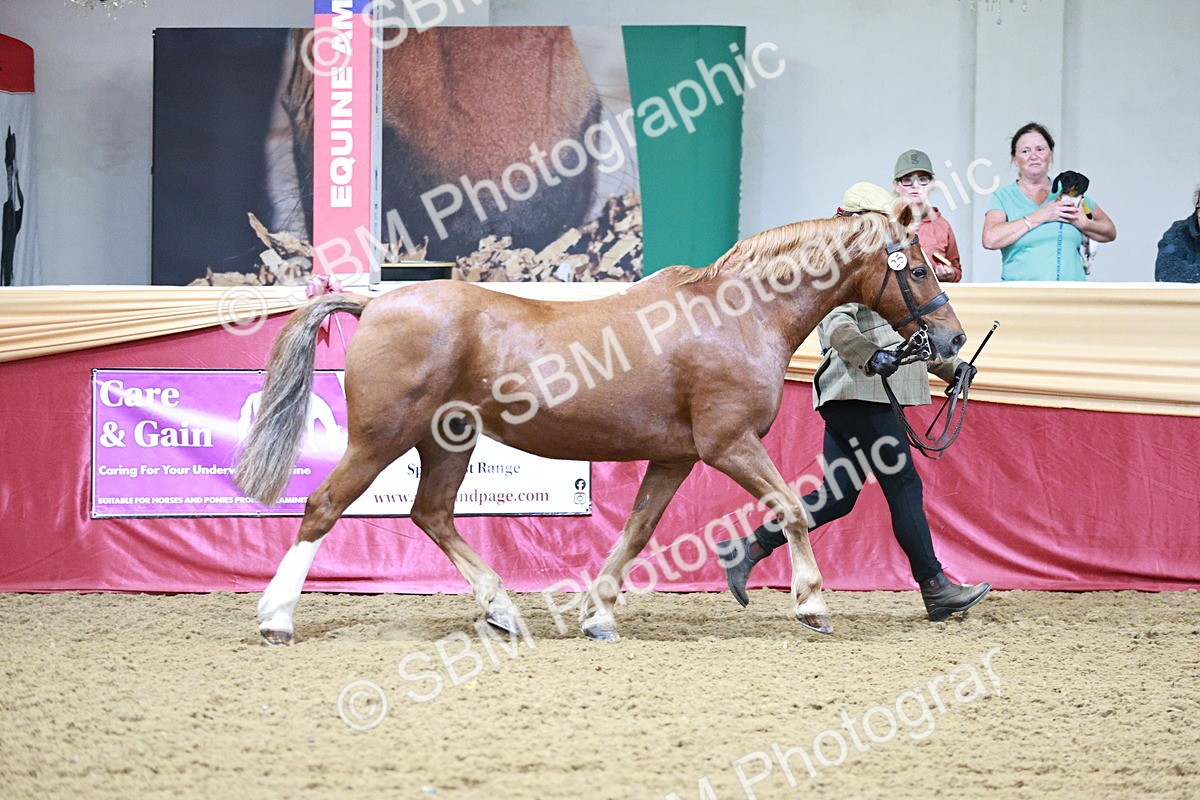 SBM_00199 - Class 1A - Area IH Diamond