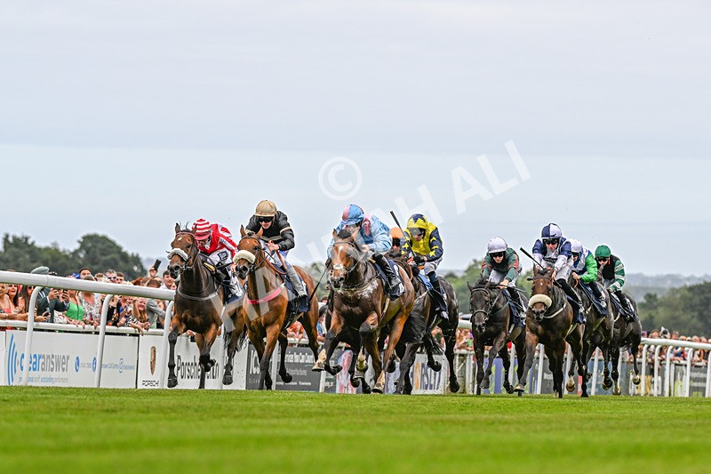 140824-Race 1-Lord Roxby-3402 - Race 1