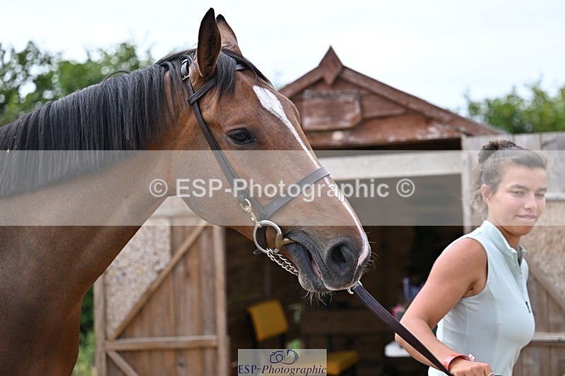 250716-131655-00423 - Trot Up 12.30 to 1.30