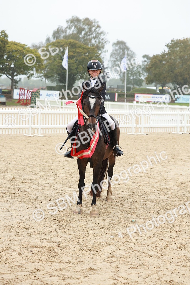 SBM_73450 - Supreme Championship Junior Pony 60cm & 65cm
