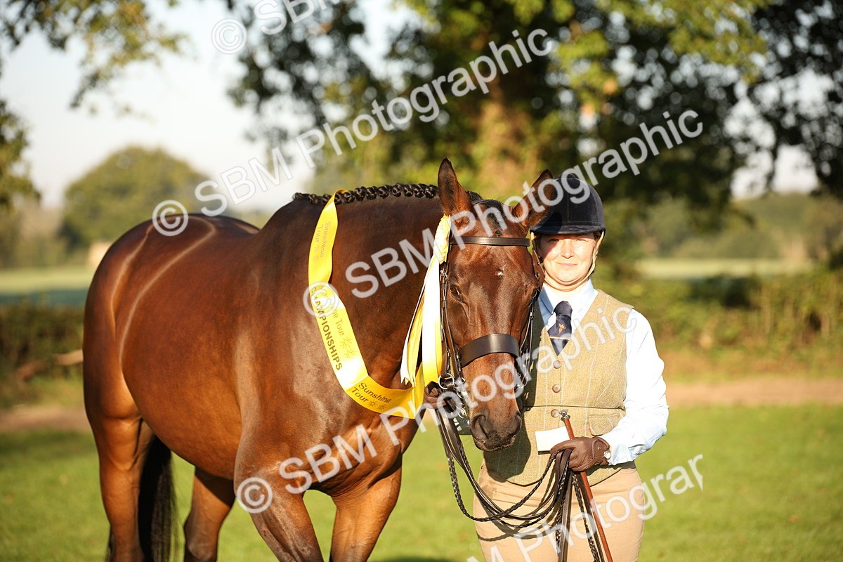 SBM_56933 - S49 - Riding Horse & Hack & Thoroughbred In Hand
