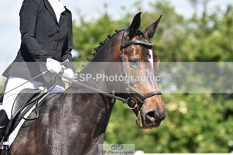 240621A-103141-01388 - Cls 4 BD Novice 22