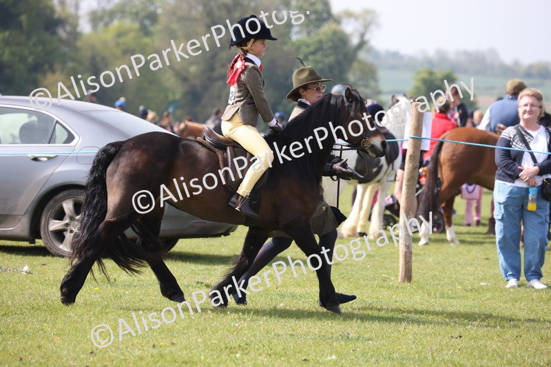 20260426-2467 - Class 31 - Leading Rein