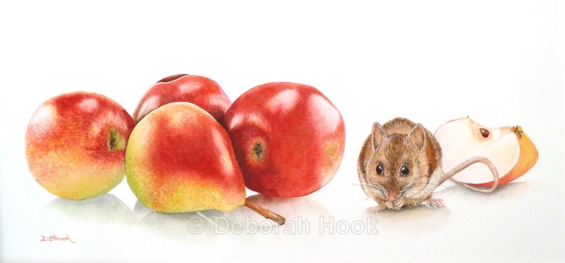Still life - British Wildlife