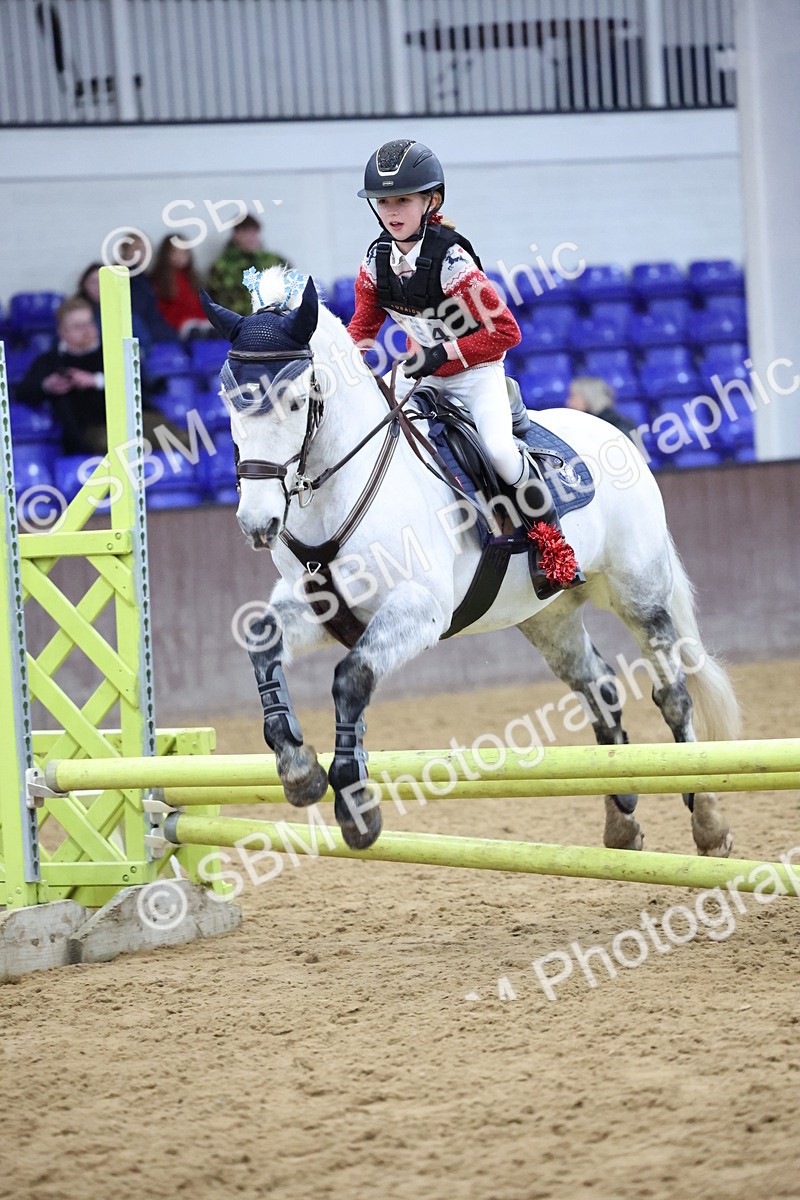 SBM_001195 - Class 3 - Christmas Tree Stakes - 60cm