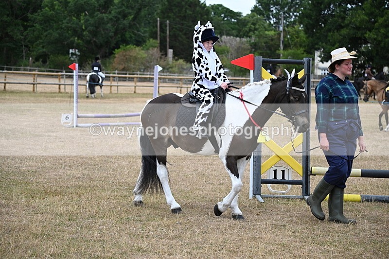 WJ6_8646 - Class 11 Fancy Dress