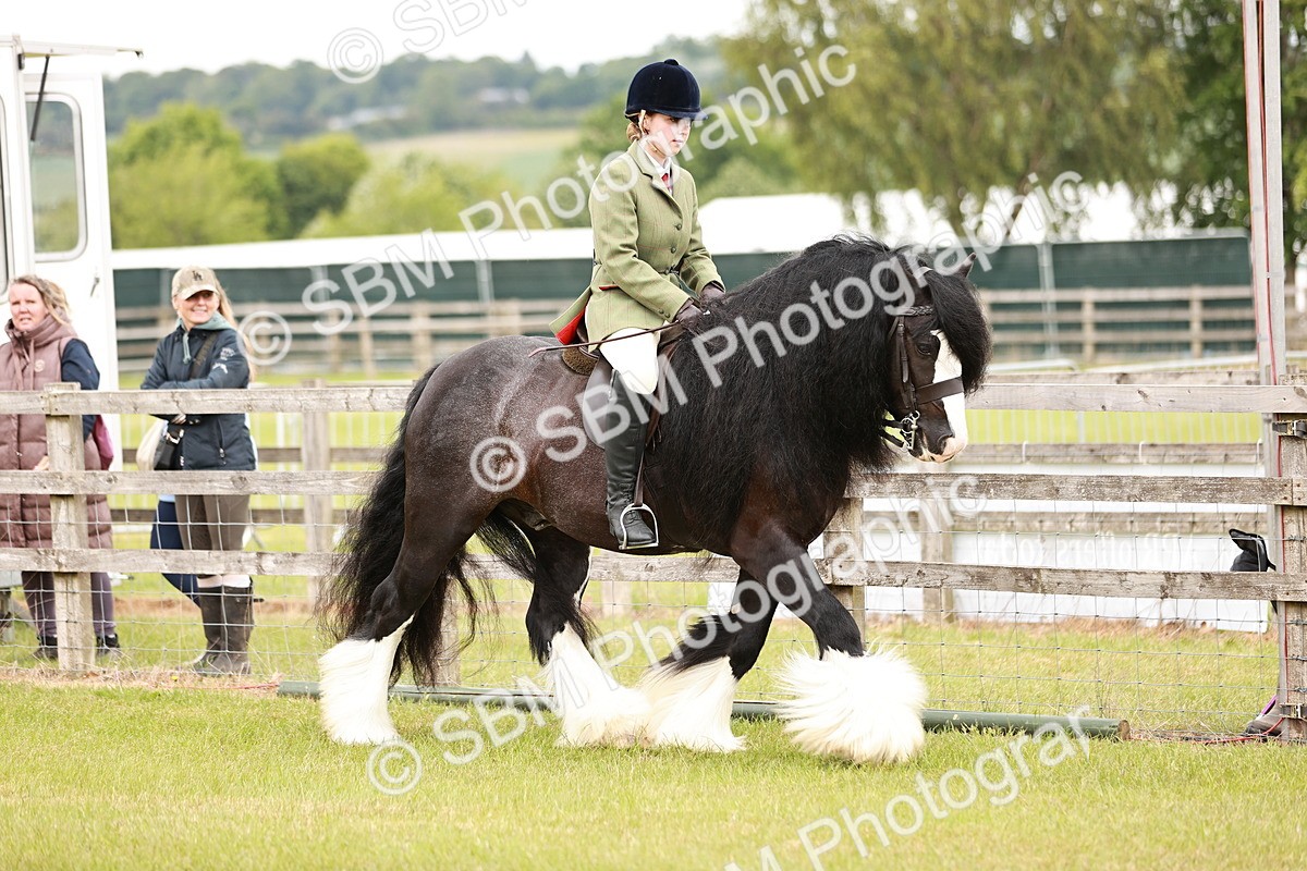 SBM_06090 - Class 39-41 TGCA In Hand and Ridden