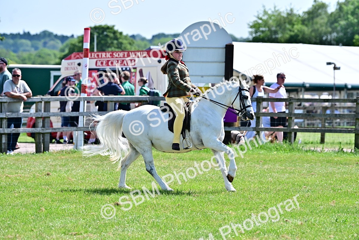 SBM_13955 - Class 95-97 - BSPS LHS Performance Ponies