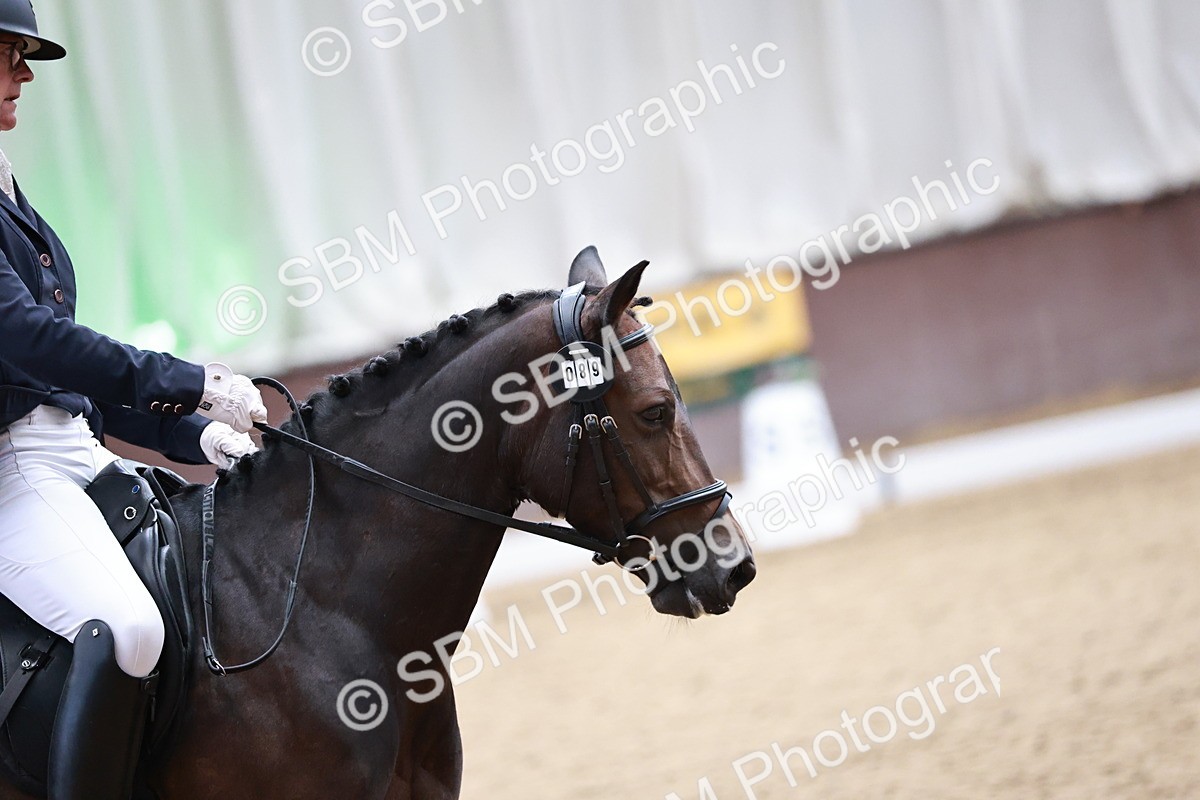 SBM_014191 - Class 7 - Ele FSM Bronze 12.12.13.08