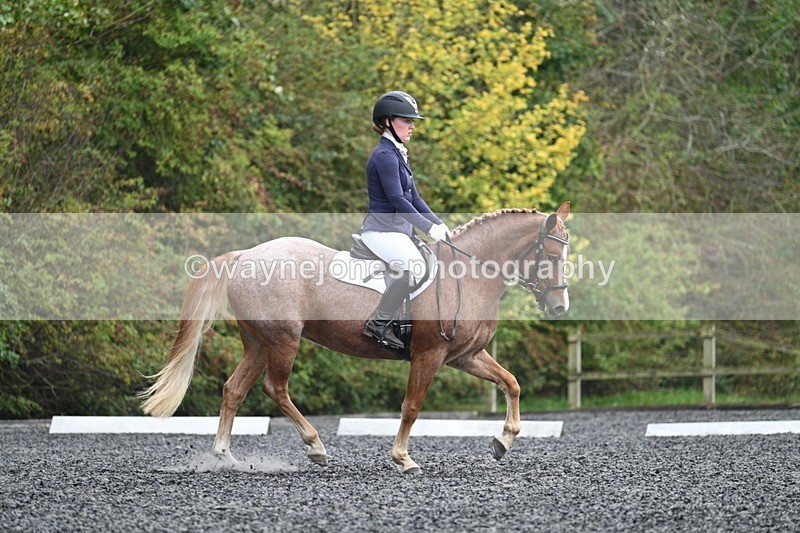 WJ7_3734 - Time 11:04 to 11:38