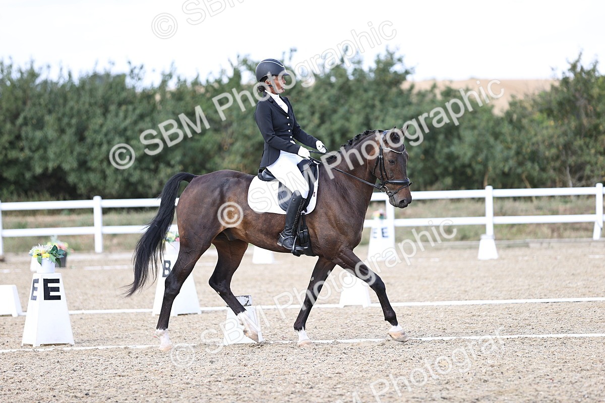 SBM_015901 - Class 5 - E5 Bronze  16.18.17.22