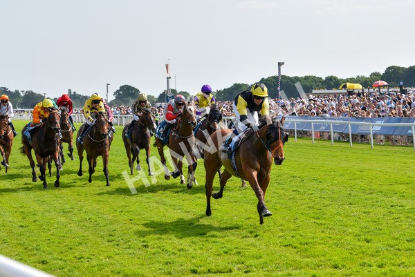 270523-Race 5-Starnberg-4498 - Race 5 3.50pm William Hill Extra Place Races Daily Handicap