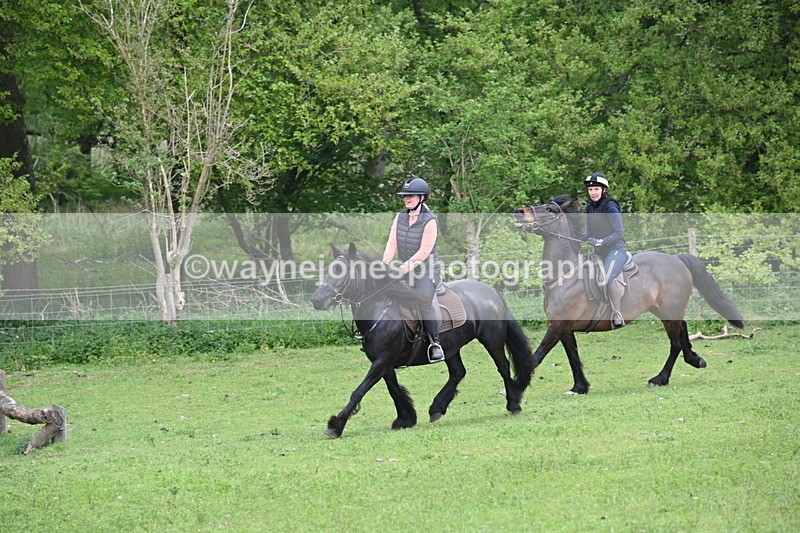 WJ6_2658 - A camera