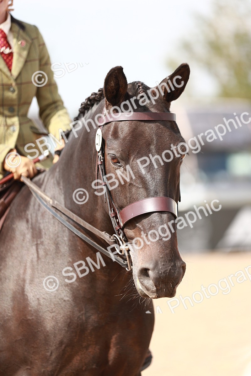 SBM_14879 - Class 212 Ridden Hunter - Small