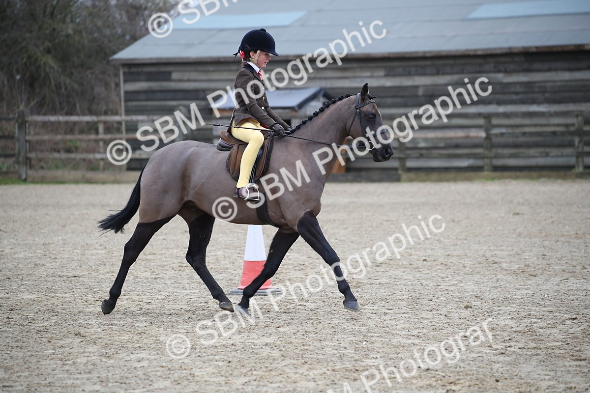 SBM_004600 - Class 5-9 - NPS In Hand-Show Hunter-Intermediate Ridden Inc Ridden Championship