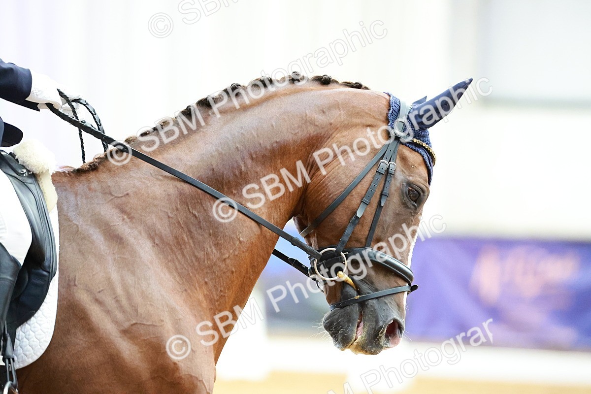 SBM_003956 - Class 1 - M5