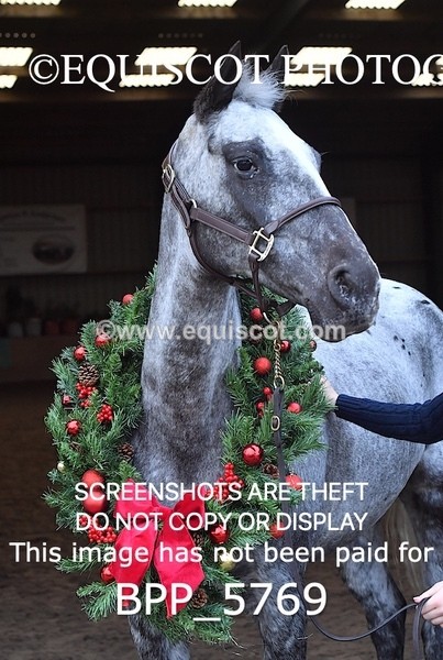 BPP_5769 - Marion West pony 2