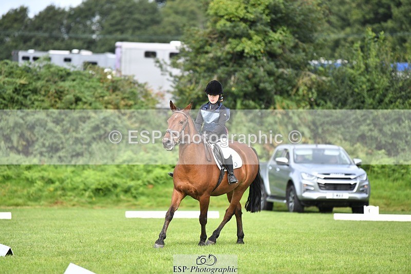 230826-101542-15415 - Sections C & D 10 to End