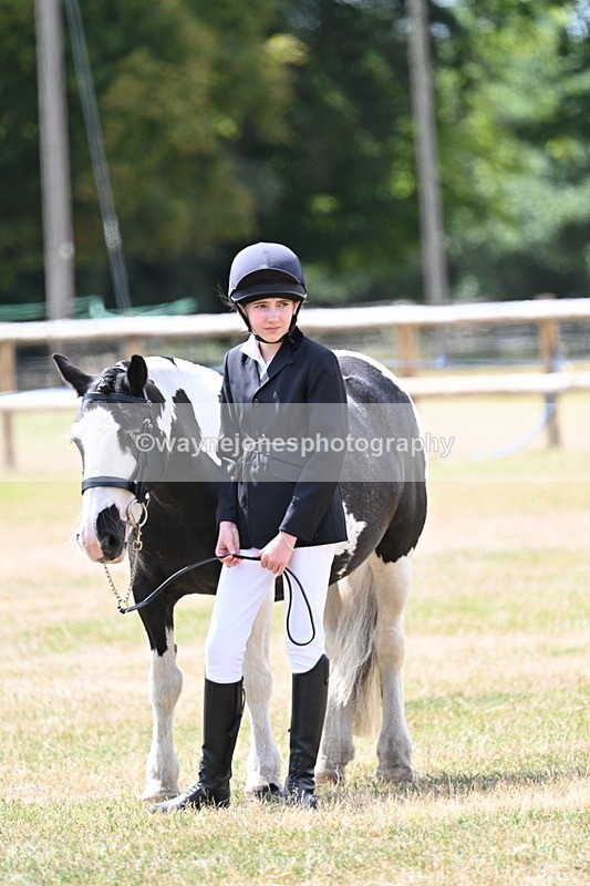 WJ7_1755 - Class 4 Prettiest Mare up to 14.2hh in hand
