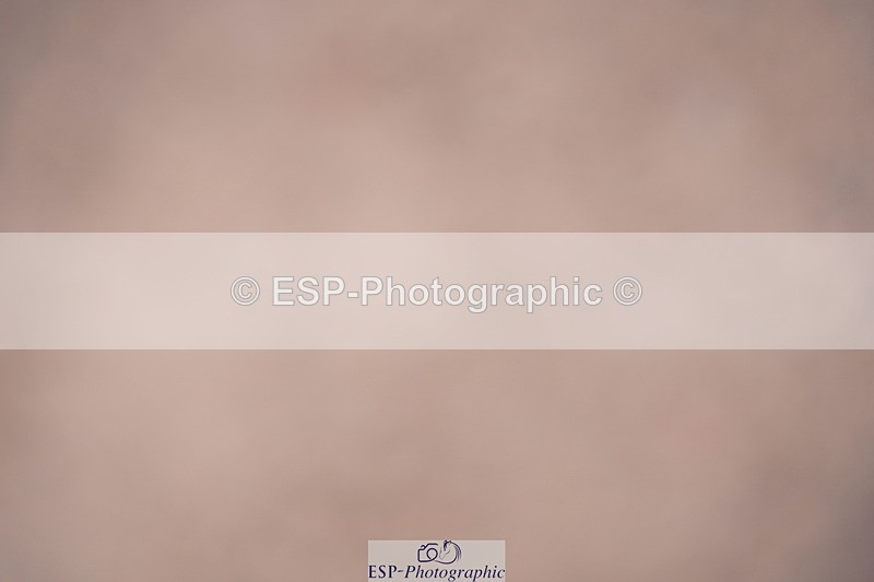 240802A-145038-05329 - Cls 18 6 Yr Old Champs