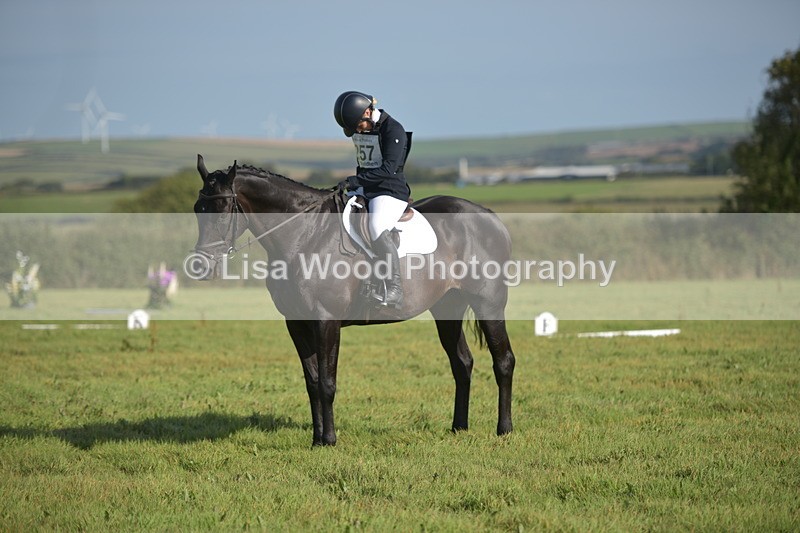 RAY_7463 - Class 2B: Trekenning Open: Dressage