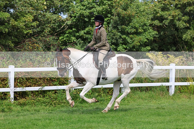3E7A8700 - Class 5: Working Show Horse
