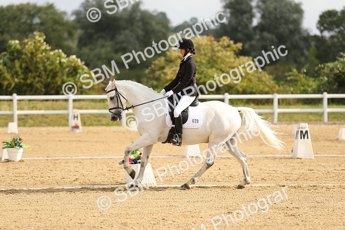 SBM_015512 - Class 13 - Novice 23 - 9.54-11.04