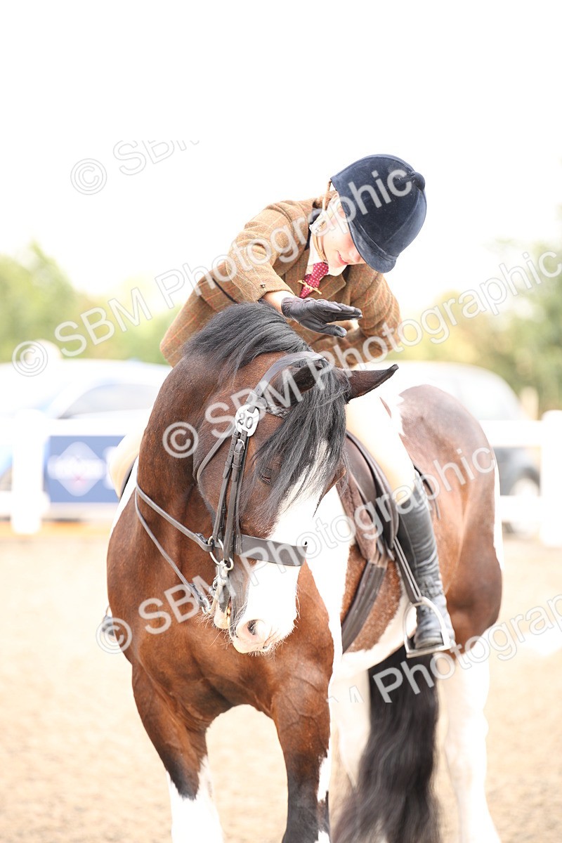 SBM_11702 - Class 404b Junior Working Veteran- 40cm(20+)