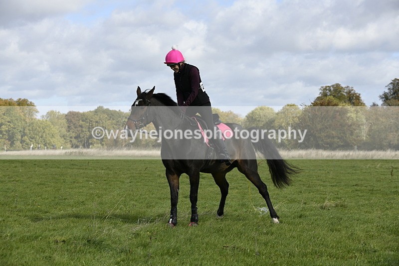 _DSC6888 - Time 11:23 to 12:05