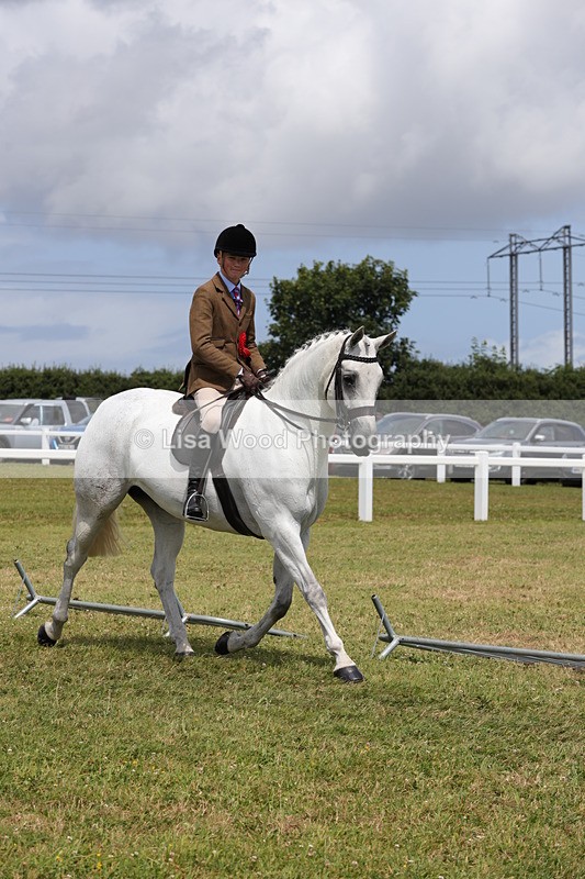 1X9A4215 - Plaited Ridden Championship