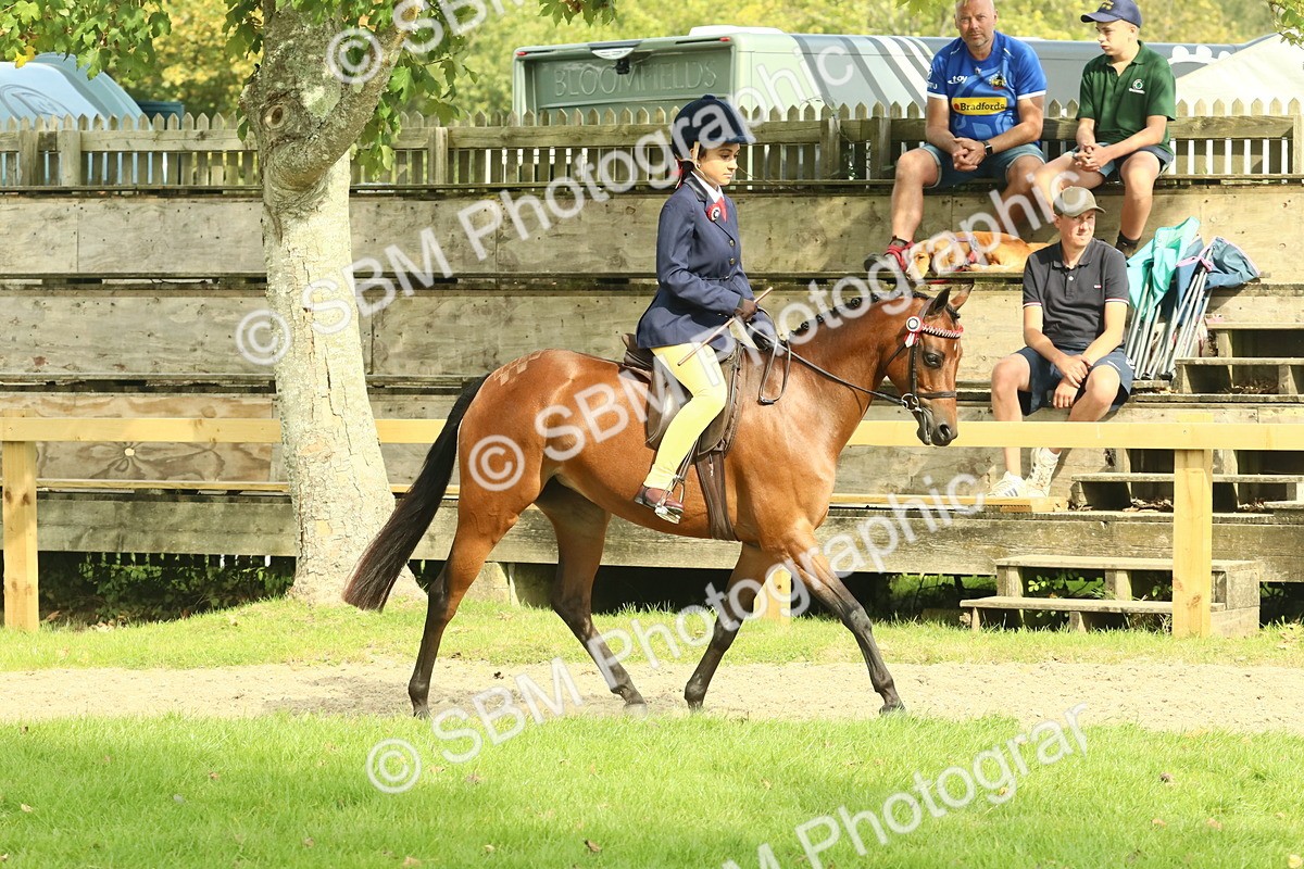 SBM_69012 - S58 - Mini Show Cob Ridden
