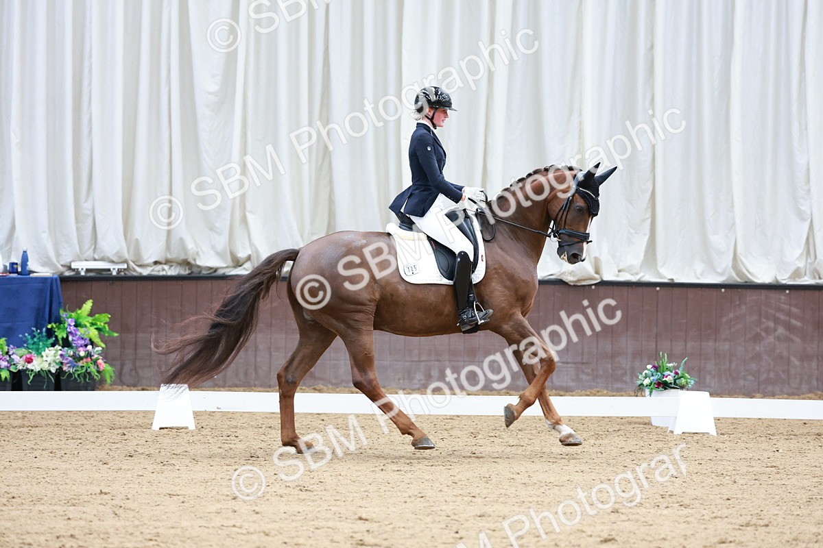 SBM_017989 - Class 15 - FEI Junior