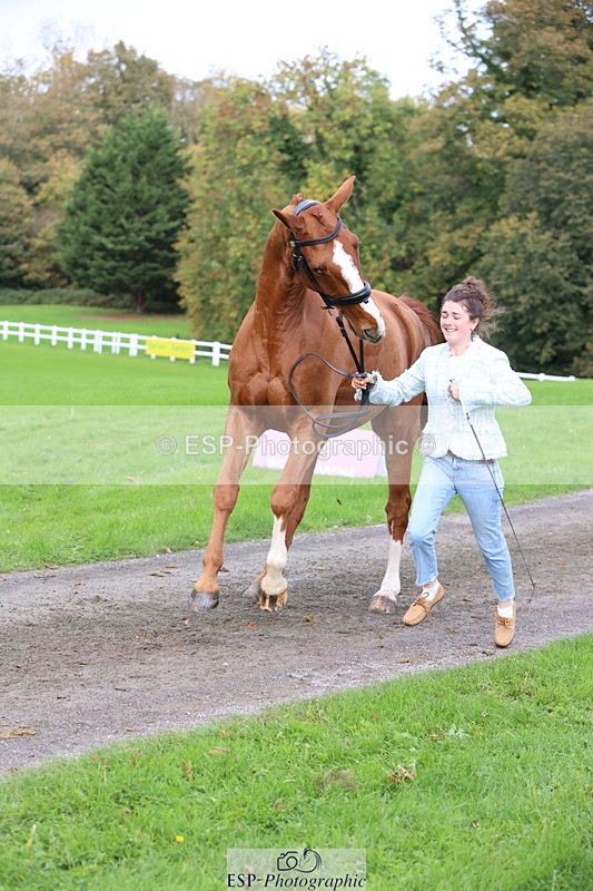 251026A-115304-25741 - G-560-Josie.Dix