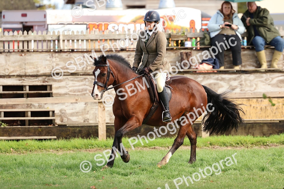 SBM_47703 - S28 - Veteran Ridden