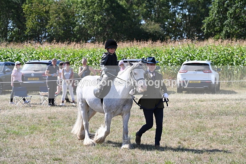 WJ6_7931 - Class 36 Lead Rein