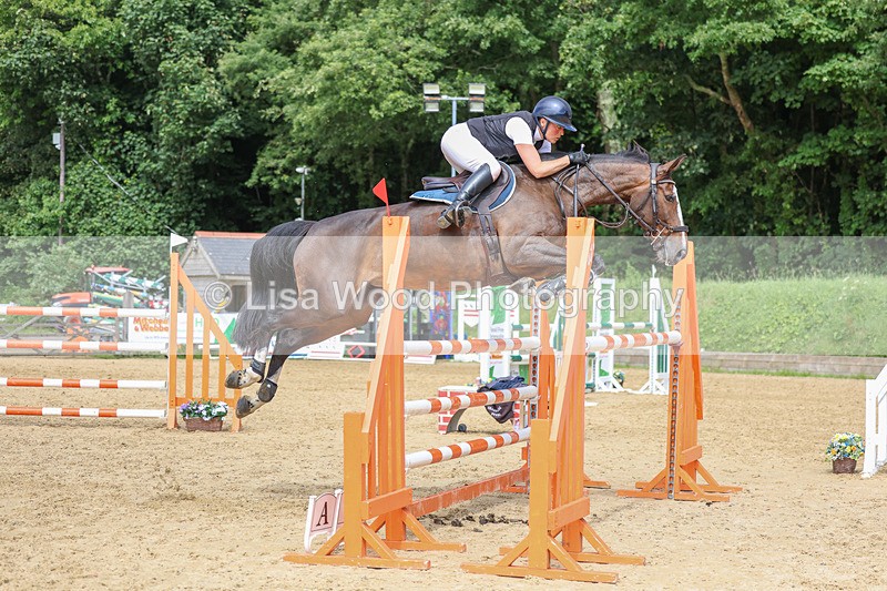 3E7A7595 - Class 9: Senior Foxhunter/1.20 open