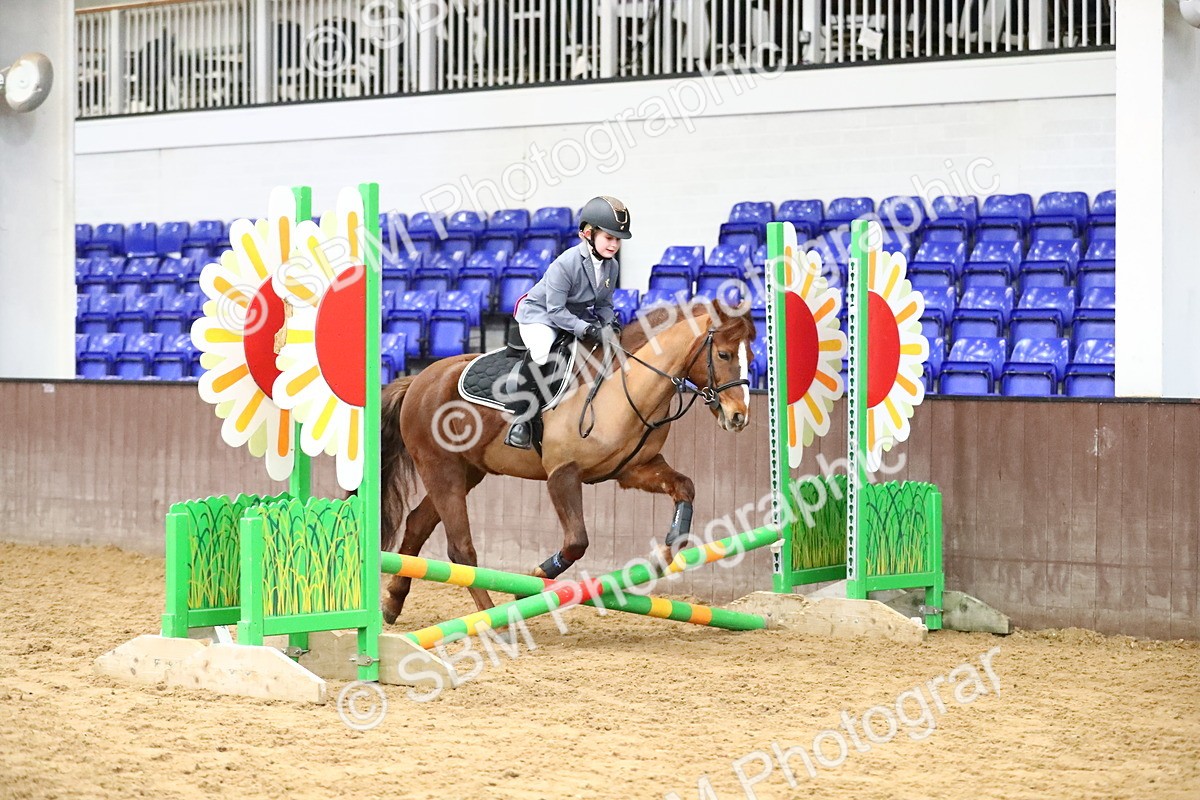 SBM_000535 - Class 2 - 40cm