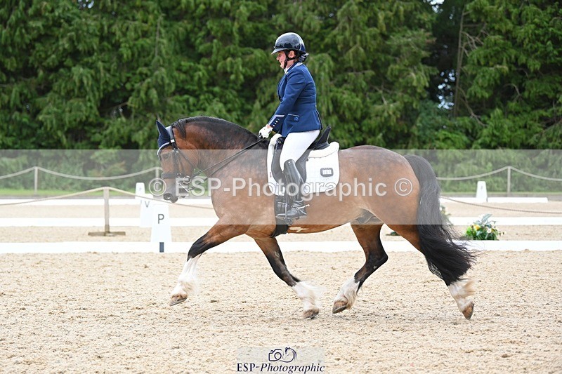 230813-142731-07767 - Cls 13 Medium Bronze 13.15 to End
