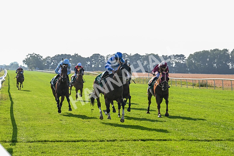 300824-Race 6-Havana Sky-6378 - Race 6