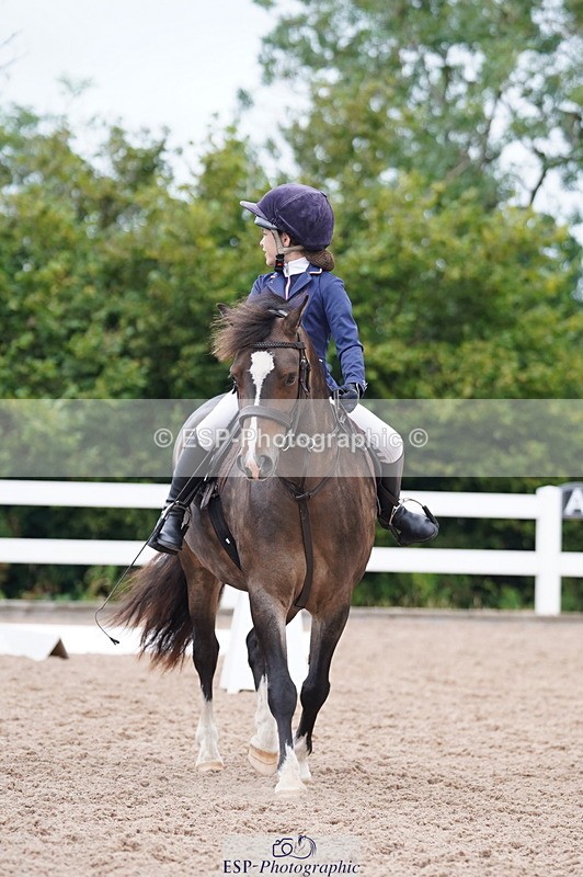 240809A-095512-00365 - Dressage Competition