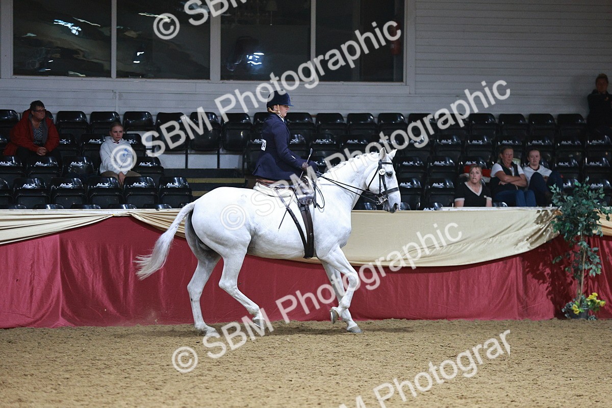 SBM_09064 - Class 12R - Regional Ridden Pre-Vet