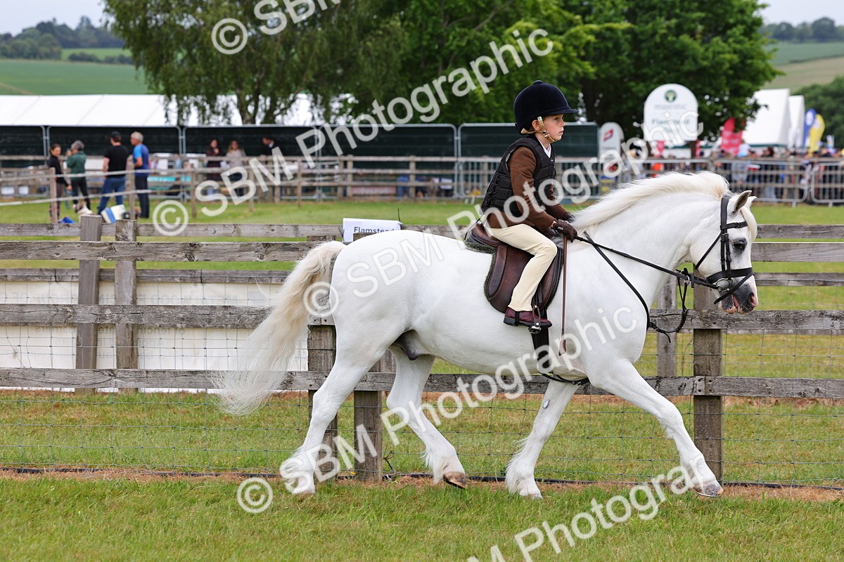 SBM_08480 - Class 42-43 - LIHS BSPS Heritage Working Sports Pony
