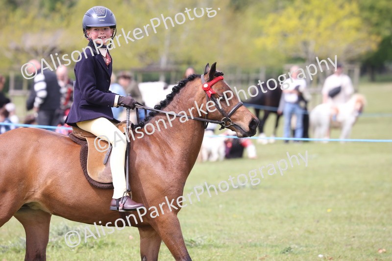 20260426-2998 - Class 33 - Best Pony 14.2hh and Under