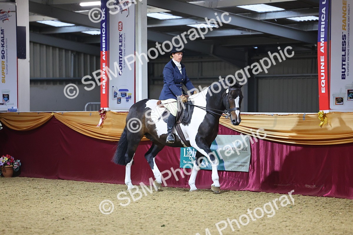 SBM_19121 - Class I Competition/ Riding Club Champ